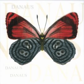 Dekoorplaat San Remo Liblikas