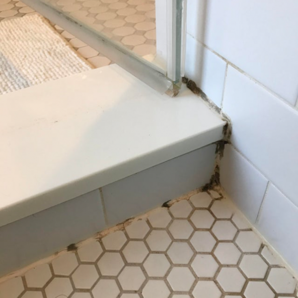 vannitoa puhastusvahend Hallitus dushinurgas