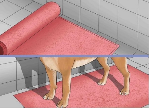 libisemiskindel lemmiklooma sõbralik vannituba